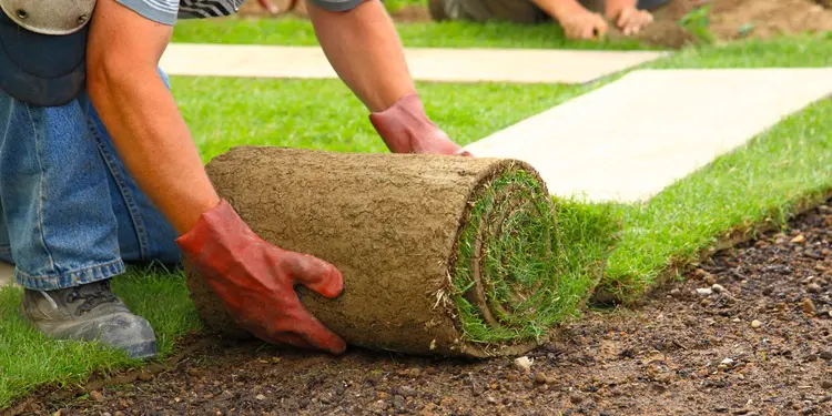 Jardineria landscaping trabajo facil de conseguir