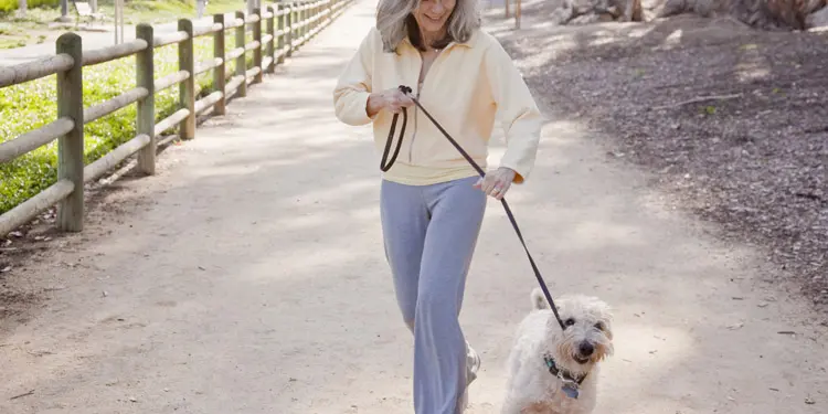 trabajos faciles para mayores cuidador de mascotas paseador de perros