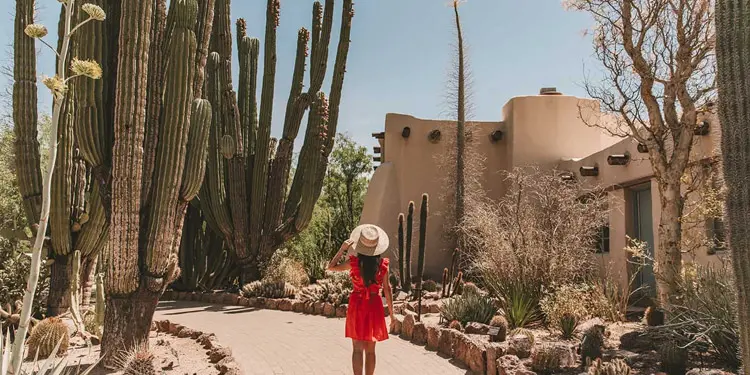 clima en tempe arizona