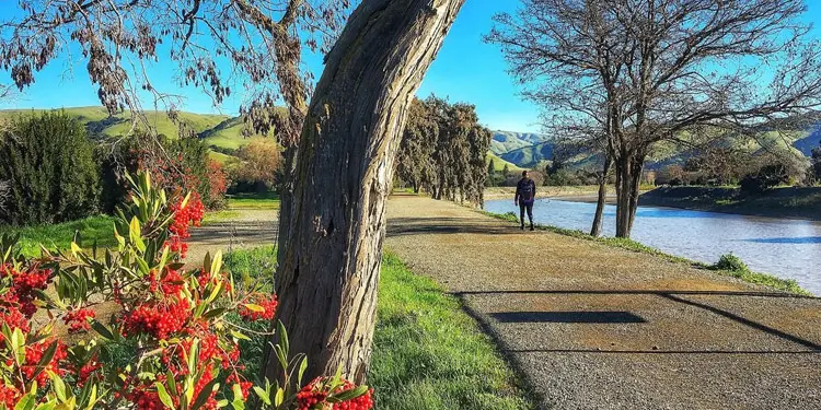 Entretenimiento y cosas que hacer en Fremont ca