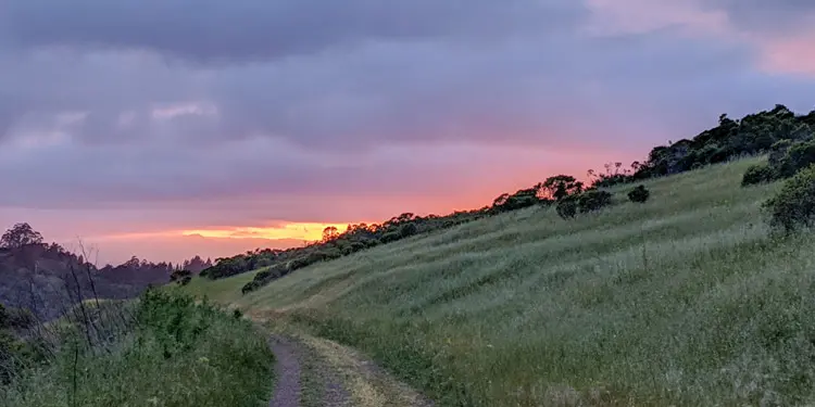 Entretenimiento y cosas que hacer en Richmond CA