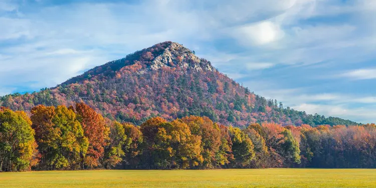 Clima de Little Rock AR