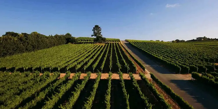 Clima de Santa Maria CA