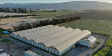 ¿Cómo es vivir en Salinas, California? ¿Es una buena ciudad?