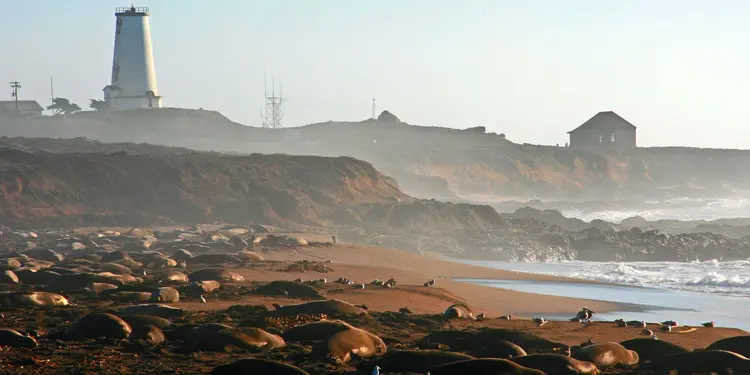 Entretenimiento y cosas que hacer en Santa Maria