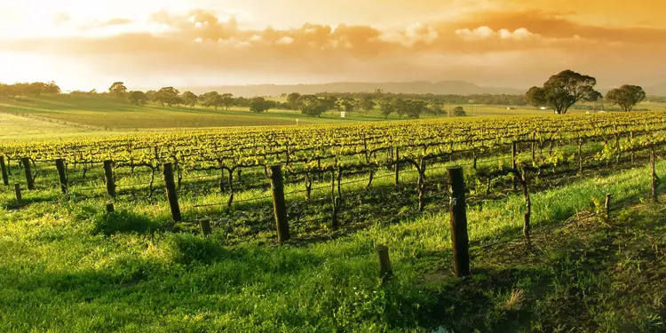 costo de vida Santa Maria California