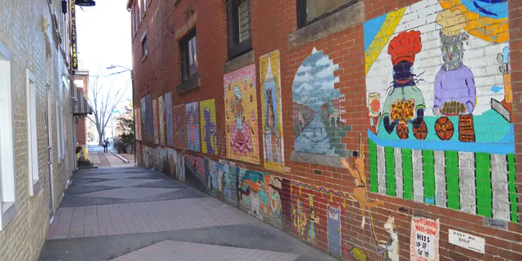 Callejon de los Gatos Cat Alley New Hampshire