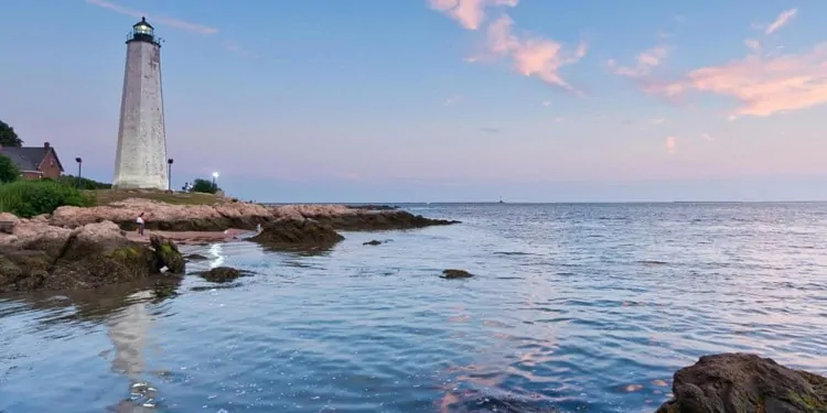 Entretenimiento y cosas que hacer en New Haven