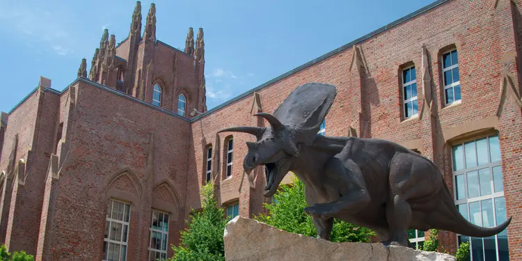 Museos de la universidad de Yale que hacer al vivir en Connecticut