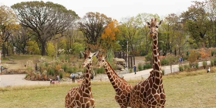 que hacer en Nebraska zoo Henry Doorly