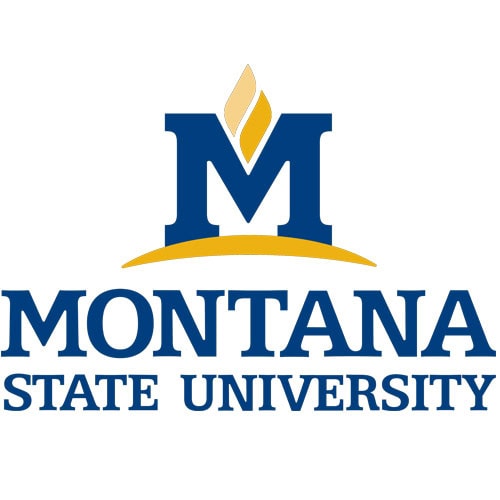 Montana State University