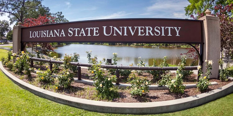 Louisiana State University empleos Estados Unidos